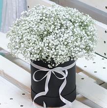 Цветочная композиция из Гипсофила в шляпной коробке в Воркуте
