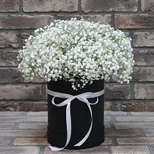Цветочная композиция из Гипсофила в шляпной коробке #REPLACE_PRED# Воркуте